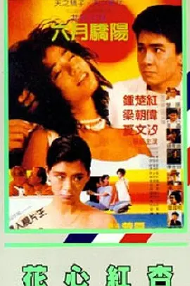 性8小仙儿