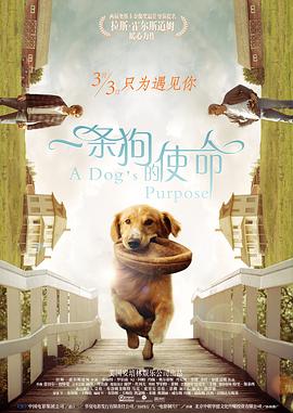 精品亚洲国产成人av制服丝袜
