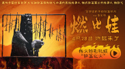 欧美成人久久电影香蕉