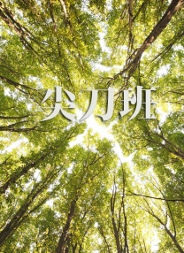 午夜免费视频网站