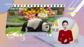 夜夜躁狠狠躁